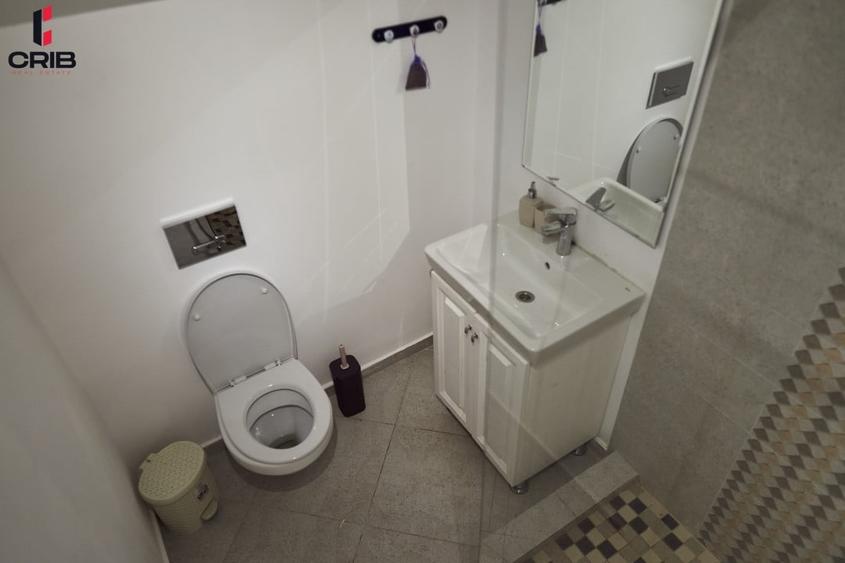 Casă individuală cu 11 camere cu Piscina în Maliuc