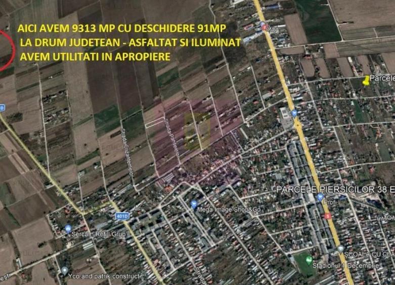 Teren de 9313 mp, în 1 Decembrie