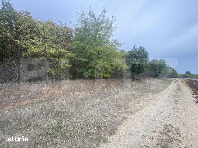 Teren de 15000 mp, în Coșoveni