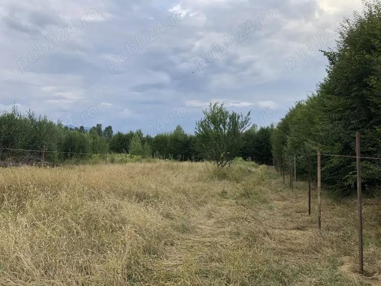 Teren de 2000 mp, în Central