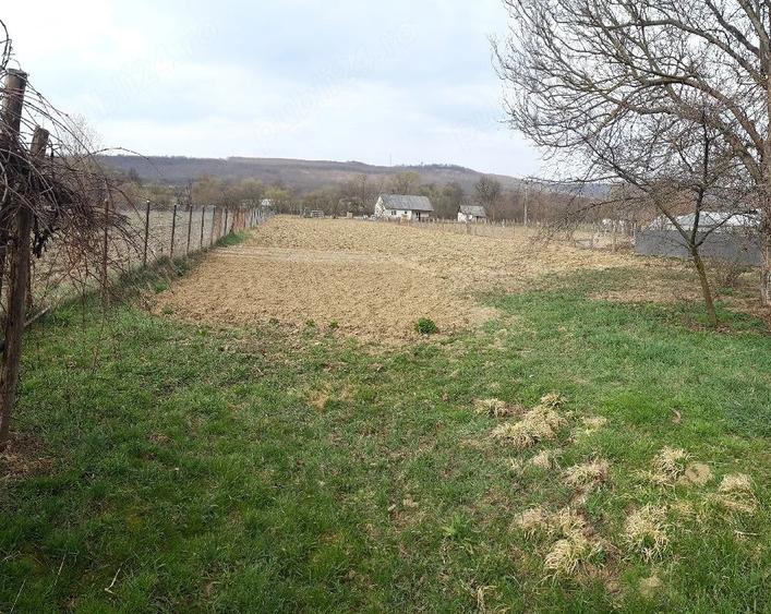 Teren de 3000 mp, în Dumbrăvița