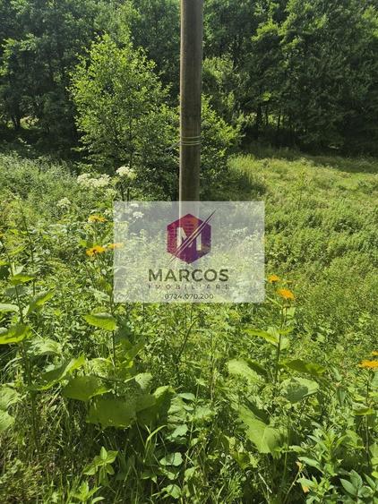 Teren Construcții intravilan de 612 mp, în Văliug