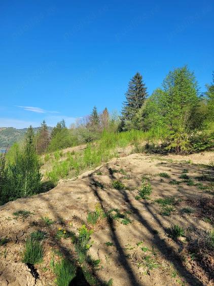 Teren de 5000 mp, în Ceahlău