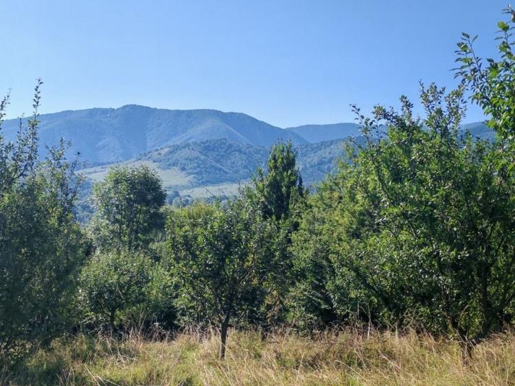 Casă individuală cu 3 camere cu Canalizare în Exterior Sud