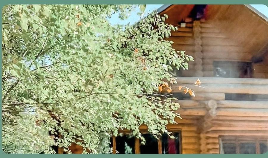 Vile premium , chalet si Tree House-uri de vanzare intr-un Resort Wellness montan - 5