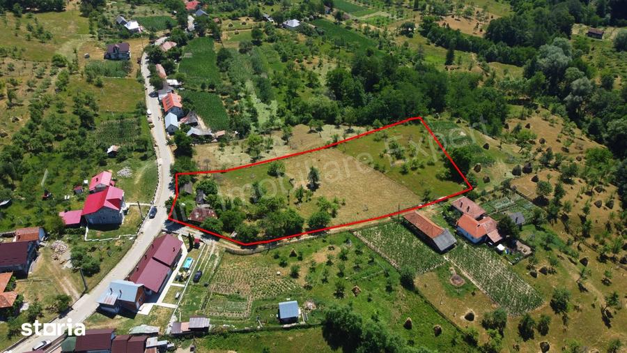 Teren de 6041 mp, în Cicănești
