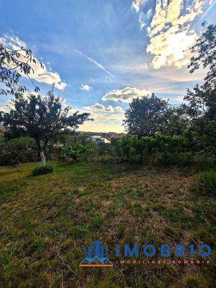 Proprietate panoramica exclusivista in Oradea livada matura cu utilita?i ?i vedere spectaculoasa - 2