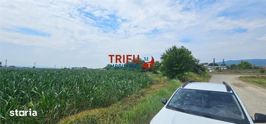 Teren Intravilan Soseaua De Centura !3500mp - 4