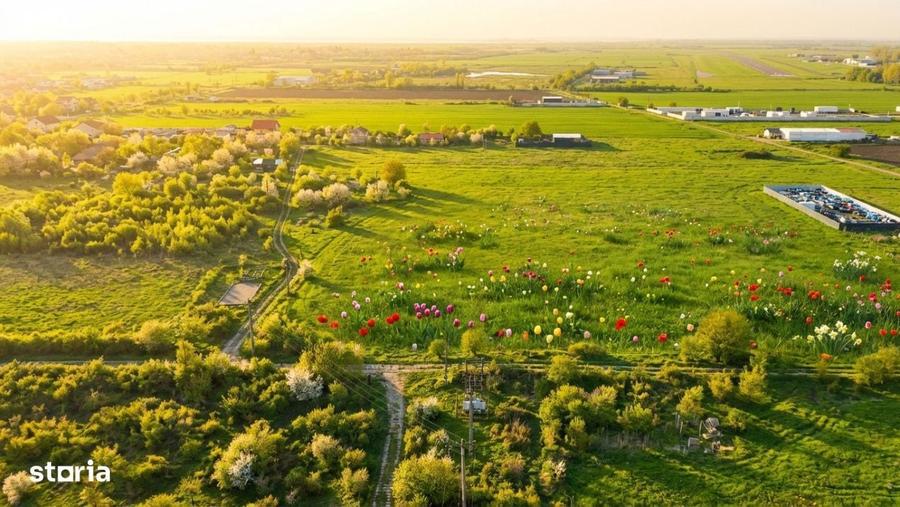 Teren de 3900 mp, în Clinceni