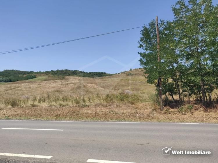 Teren Construcții intravilan de 11400 mp, în Corpadea