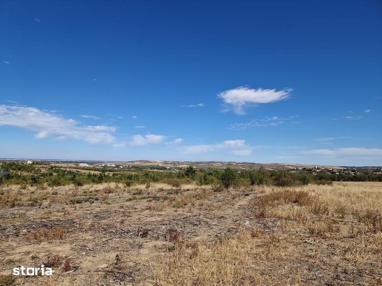 Teren de 3100 mp, în Paleu