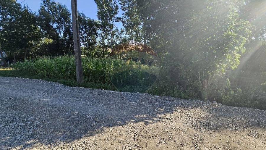 Teren Construcții intravilan de 7500 mp, în Moara Carp