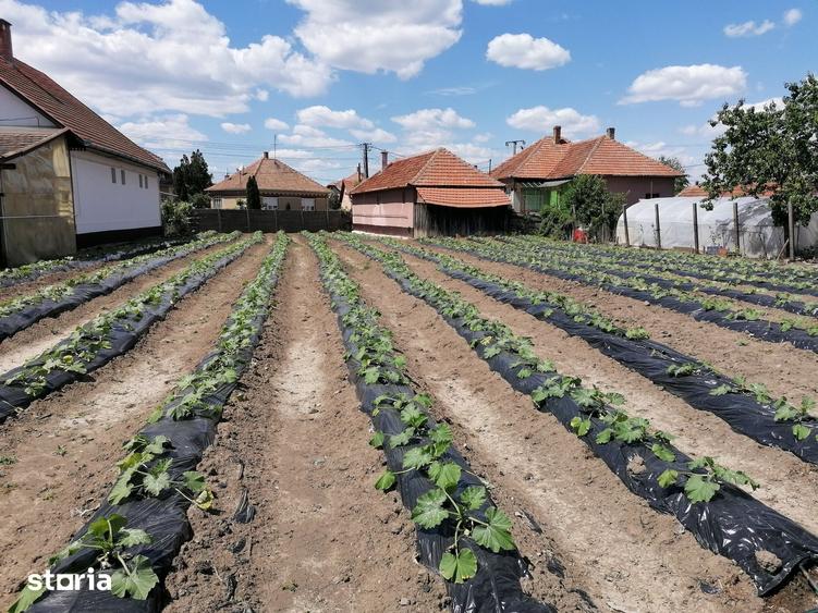 Casă cu 4 camere cu Teren 1407 Mp în Central