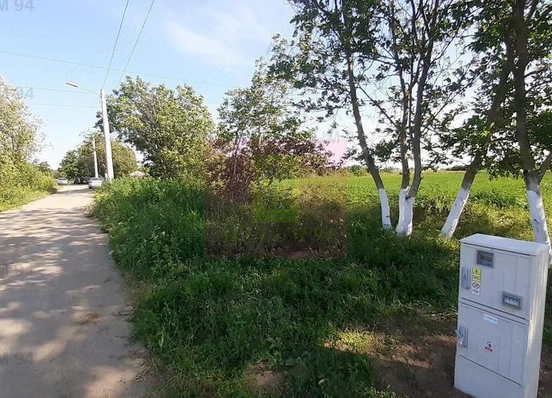 Teren de 5000 mp, în Copăceni