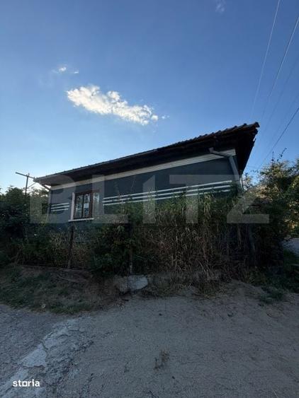 Casă cu 3 camere în Vinerea