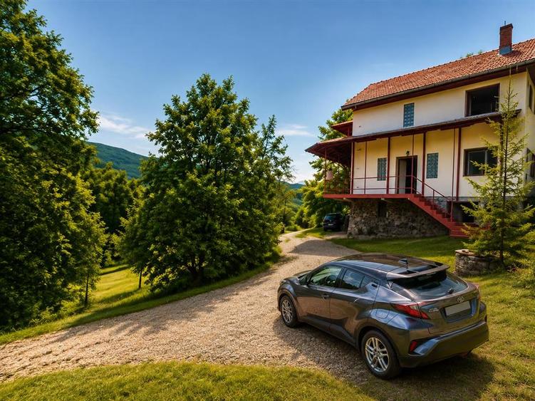 Casă individuală cu 7 camere cu Teren 4290 Mp în Valea Doftanei