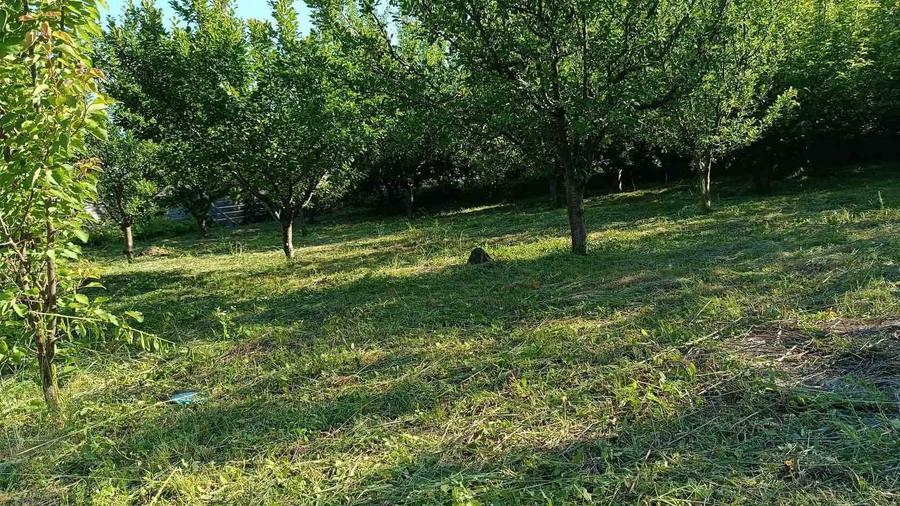 Teren agricol intravilan de 1000 mp, în Central