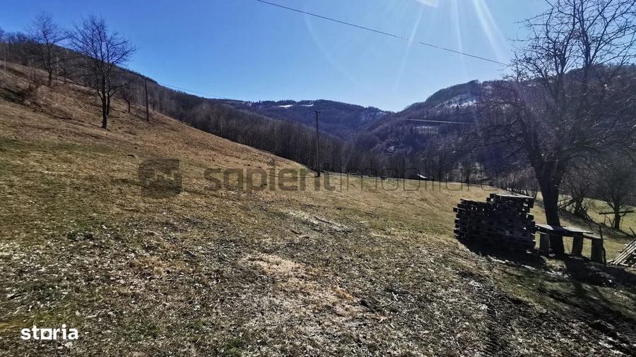 Spațiu comercial, în Munteni