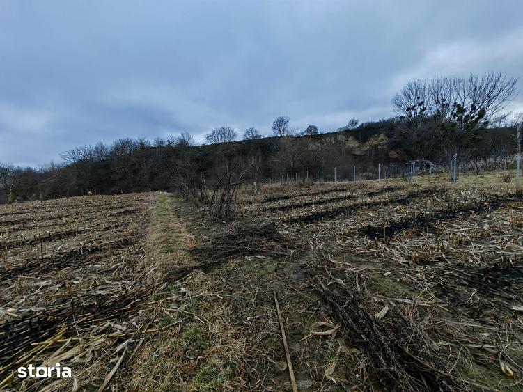 Teren de 3000 mp, în Măgura