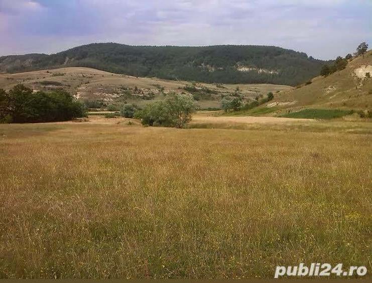 Teren de 5000 mp, în Racâș