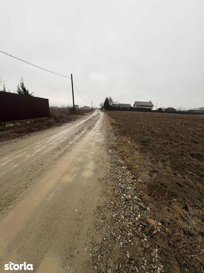 Teren de 1500 mp, în Hemeiuș