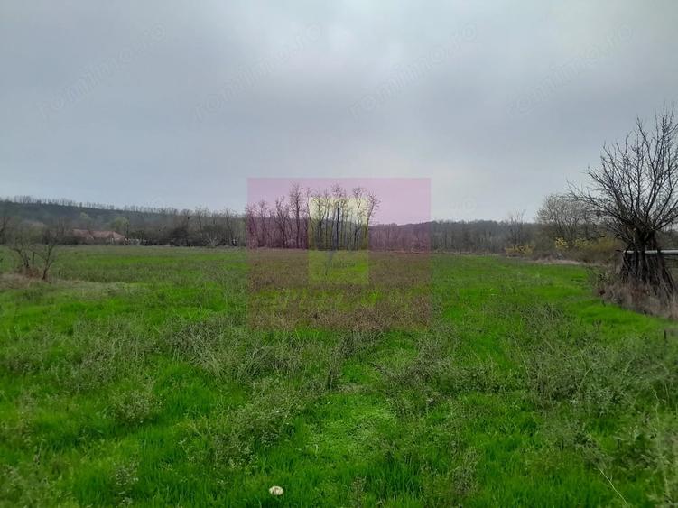 Casă cu 3 camere cu Teren 15000 Mp în Bărcănești