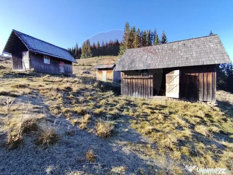 Teren de 31461 mp, în Panaci