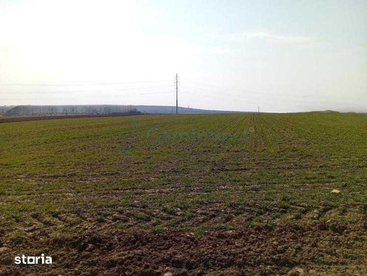 Teren de 20000 mp, în Biharia