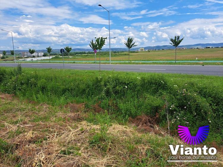 Teren Construcții intravilan de 9000 mp, în Turnișor