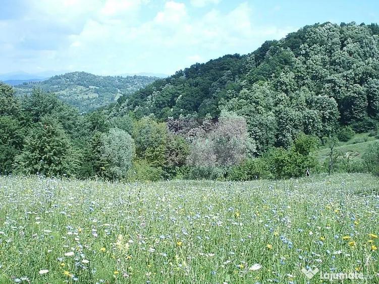 Teren de 3092 mp, în Telega