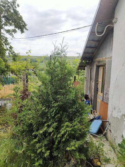 Casa ?i teren de vanzare Com.Vela ,sat Suharu,jud.Dolj - 3