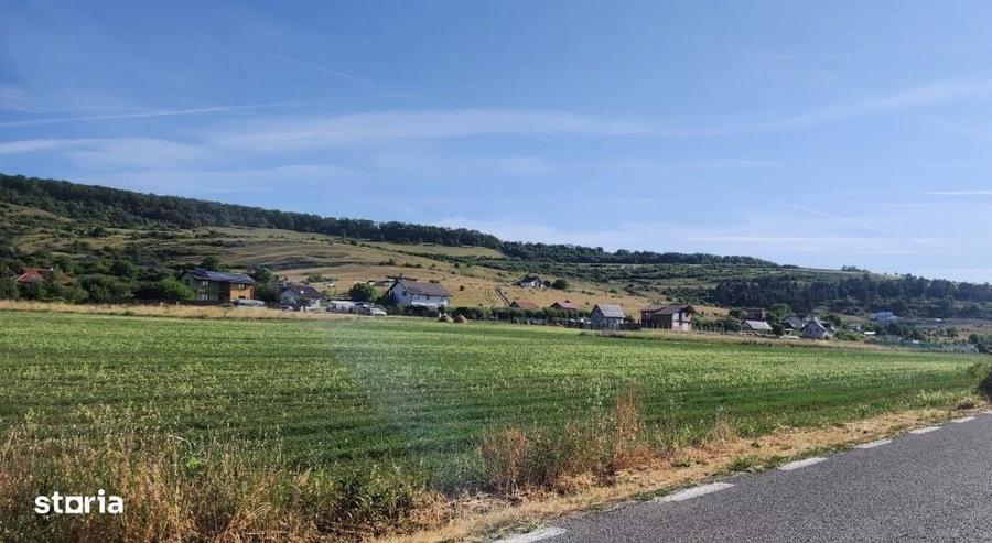 Teren 2880mp Str. Padurii | Centura DONATH | Zona de case | PLAN - 1