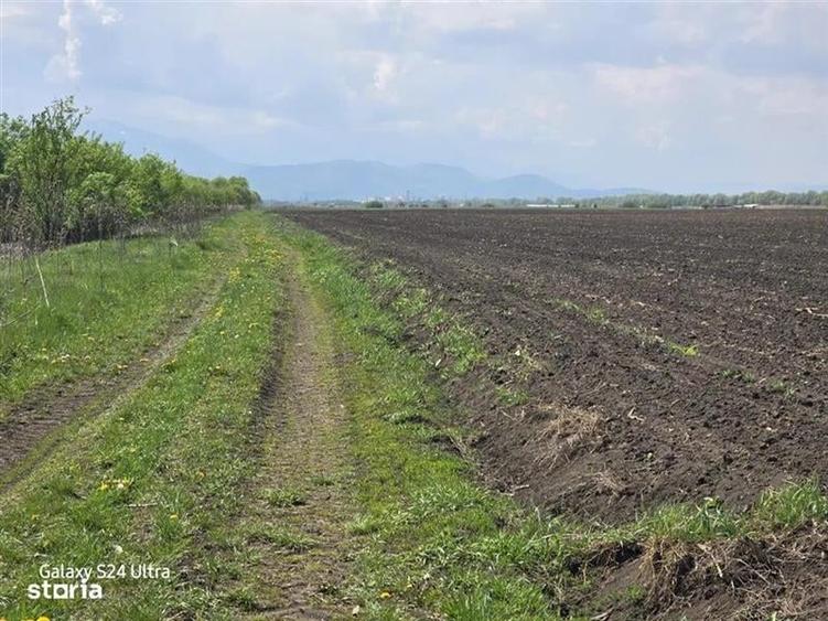 Oportunitate de investiție cu Exclusivitate! BOD, teren agricol! - 1