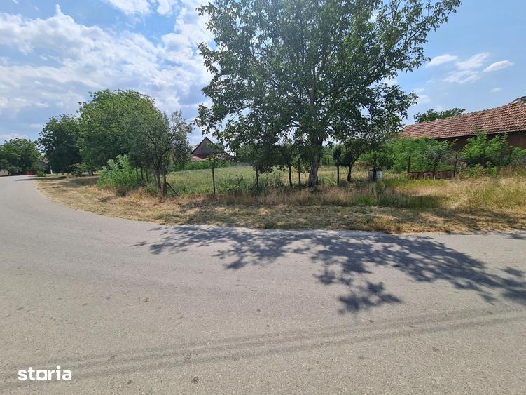 Teren de 1300 mp, în Bocsig