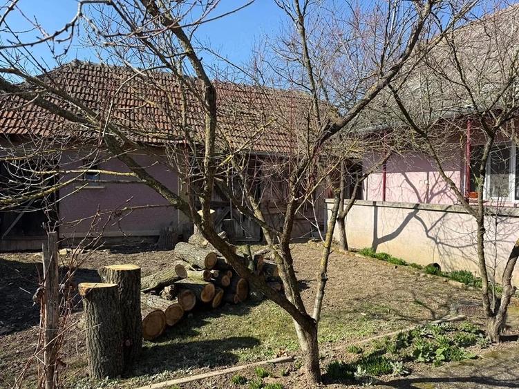 Casă cu 5 camere cu Teren 4000 Mp în Supur