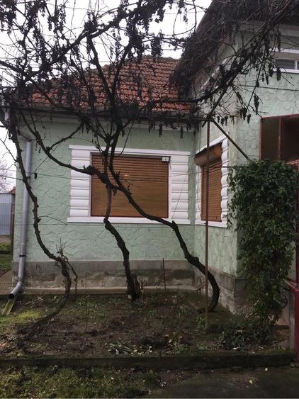Casă cu Teren 2000 Mp în Saca