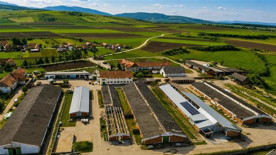 Teren Construcții intravilan de 25391 mp, în Boroșneu Mare