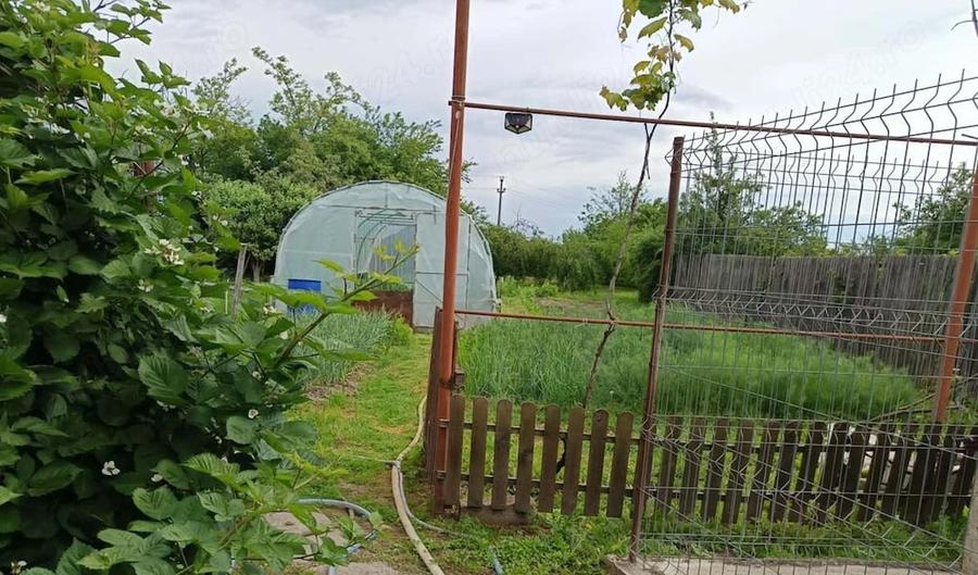 Casă cu 3 camere cu Teren 2200 Mp în Broșteni (Vișina)
