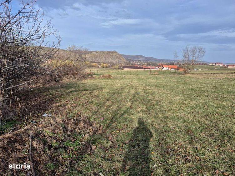 Teren de 1500 mp, în Orlat