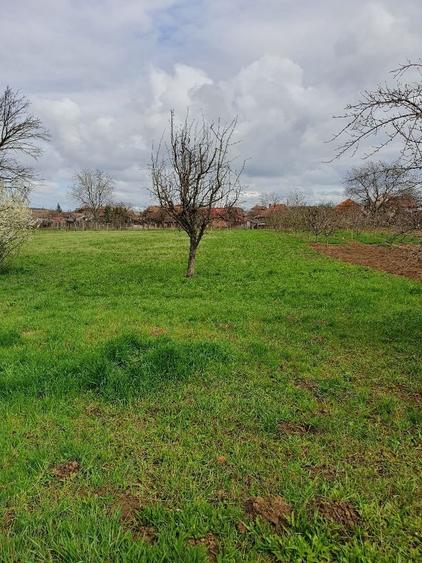 Vand casa cu etaj in comuna Mihai Viteazu langa Turda jud.Cluj - 4