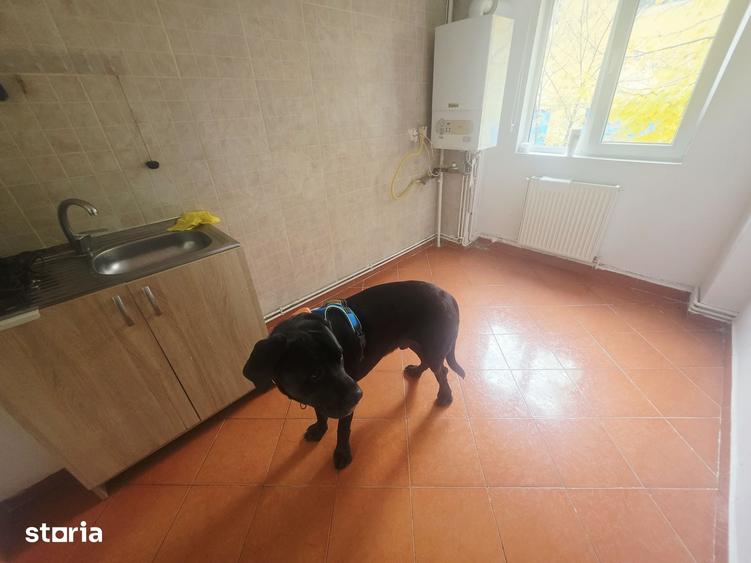 Apartament cu 2 camere decomandat în Tractorul