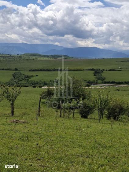 Teren de 11500 mp, în Roșia