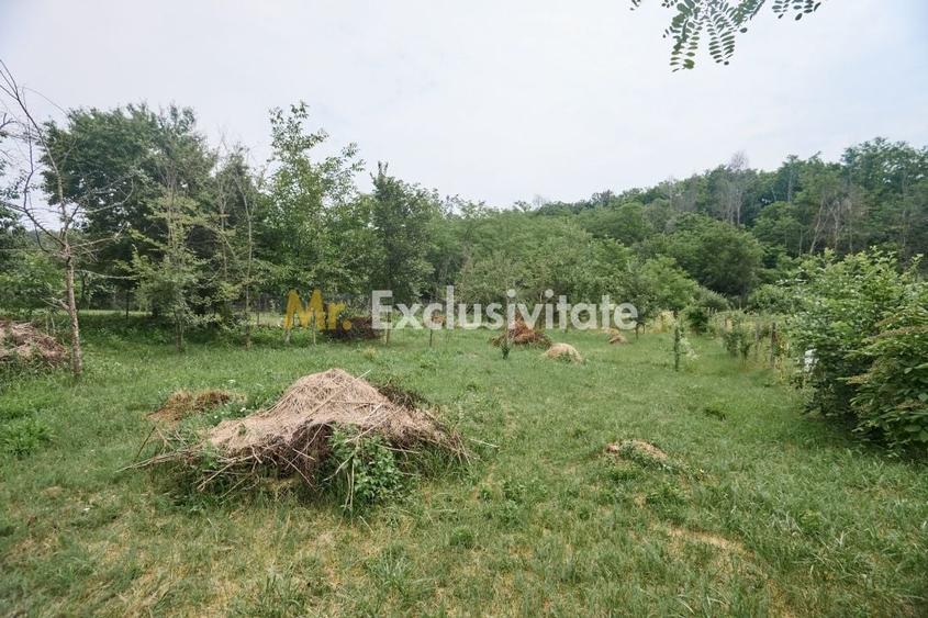 Teren Construcții intravilan de 2240 mp, în Moșoaia