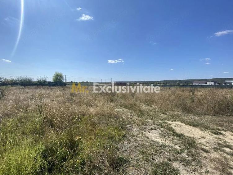 Teren zona Magic Trivale intravilan 1040 mp - 1