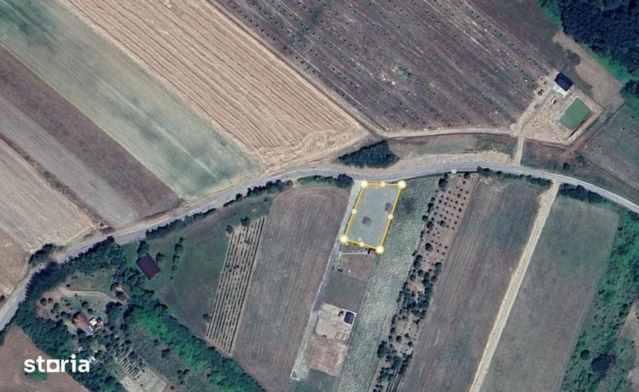 Teren de 1000 mp, în Ardud