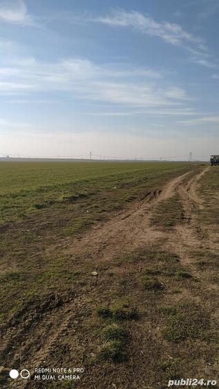 Teren de 9740 mp, în Bălăceanca