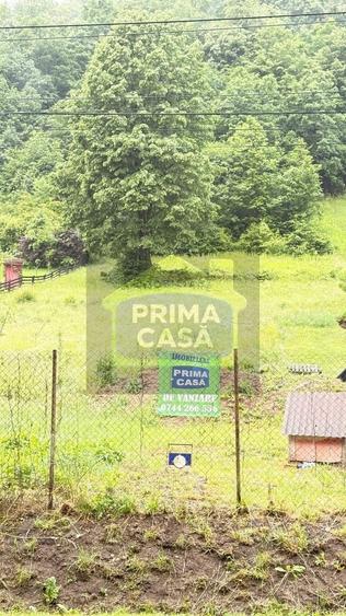Teren Construcții intravilan de 6200 mp, în Tăuții-Măgherăuș