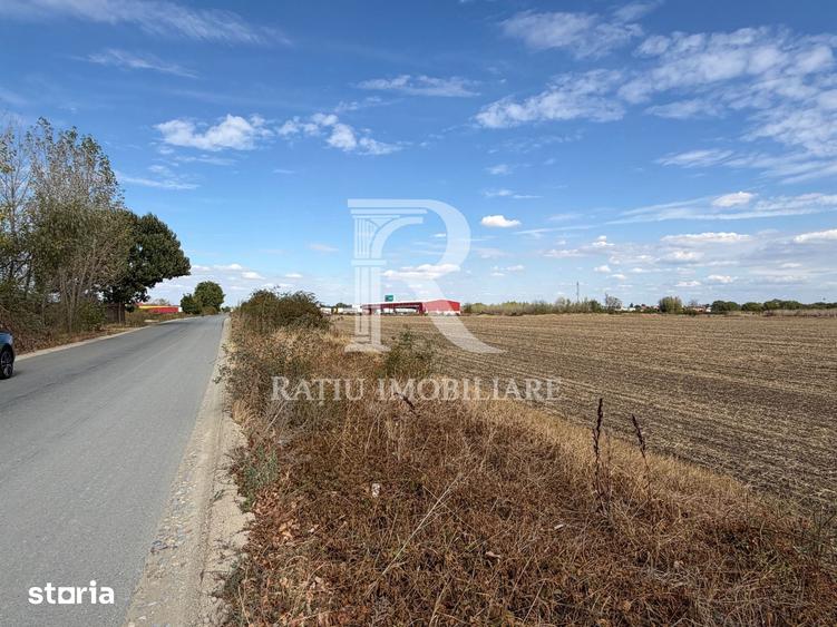 Teren de 4750 mp, în Borș