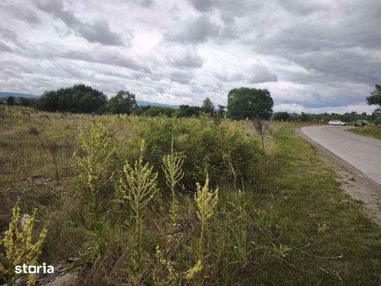 Teren intravilan 4594mp, deschidere 66ml, Galanesti, Radauti - 3