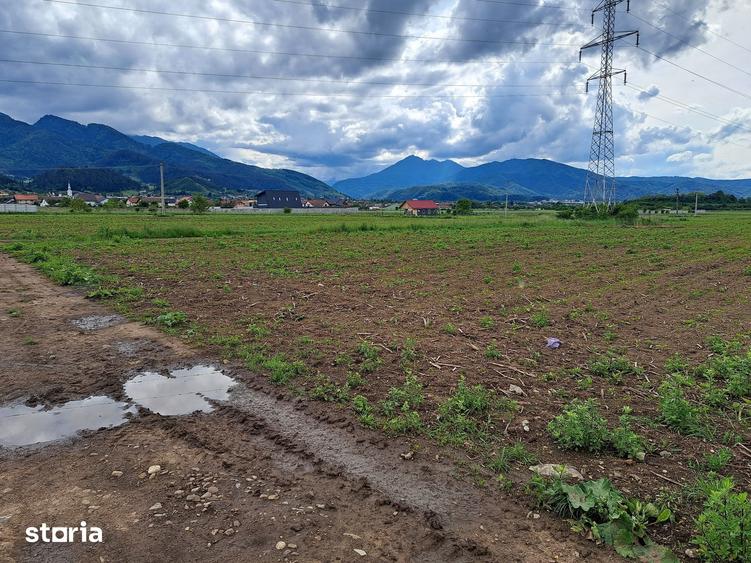 Teren de 3500 mp, în Movilei